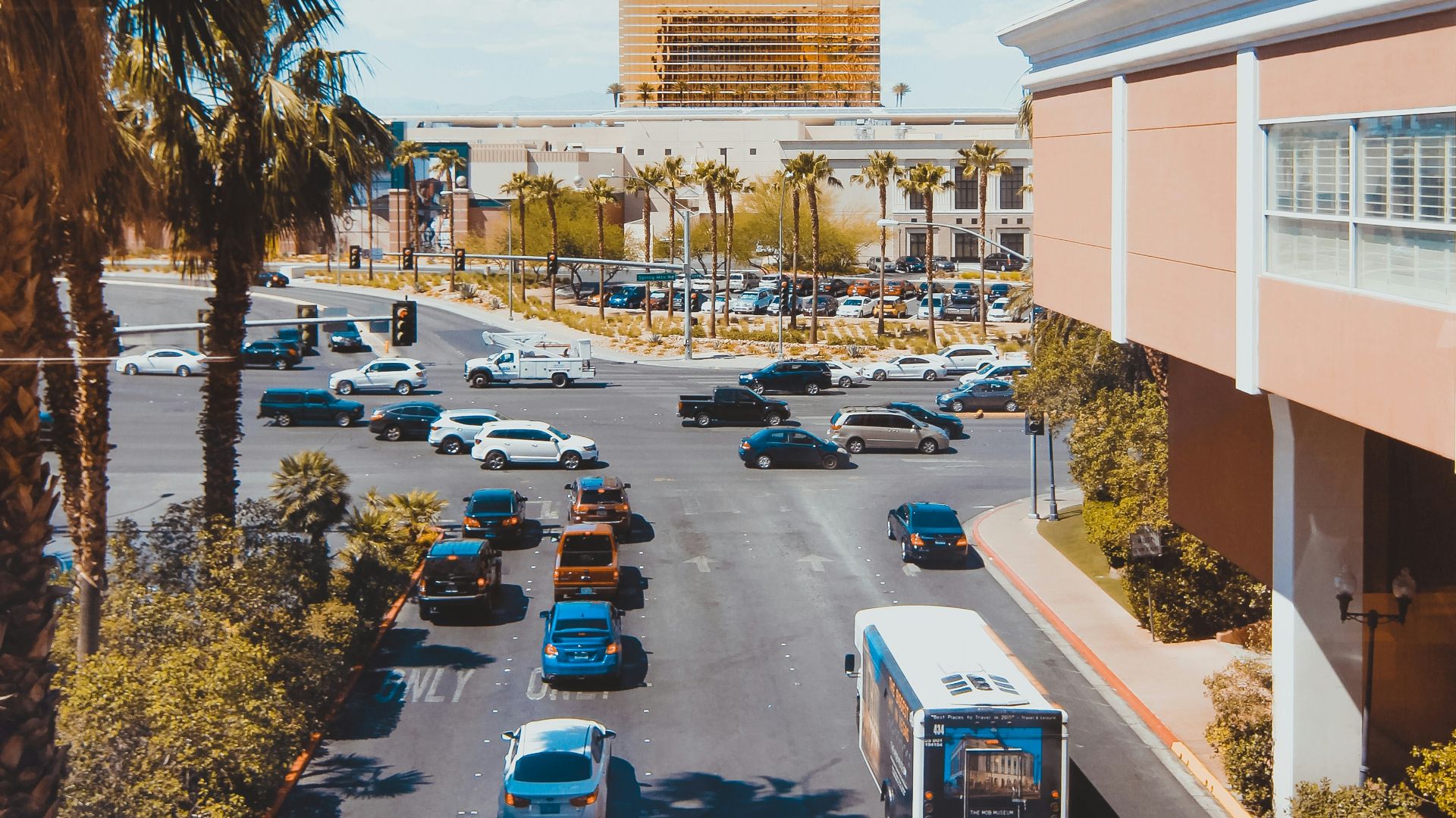 vehicles on road beside building