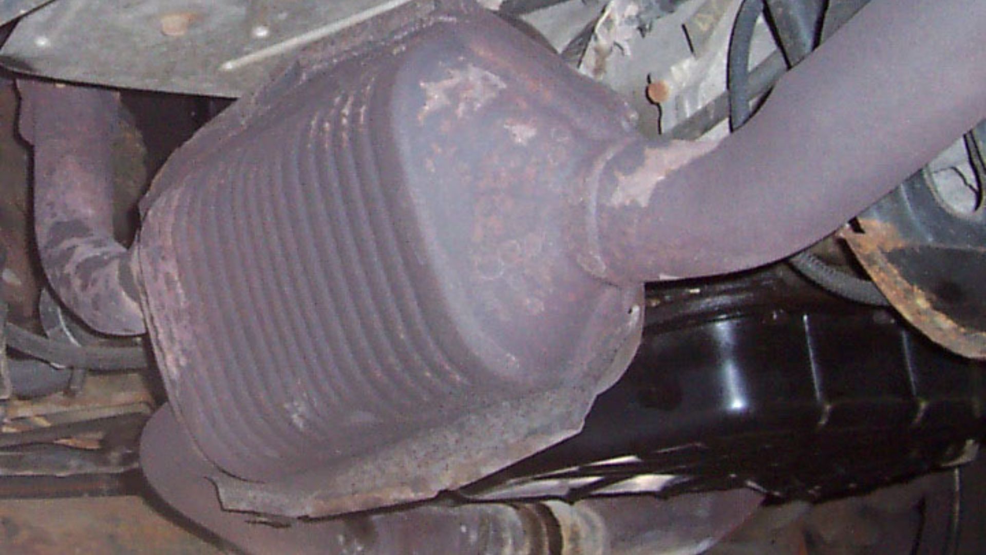 File:DodgeCatCon.jpg