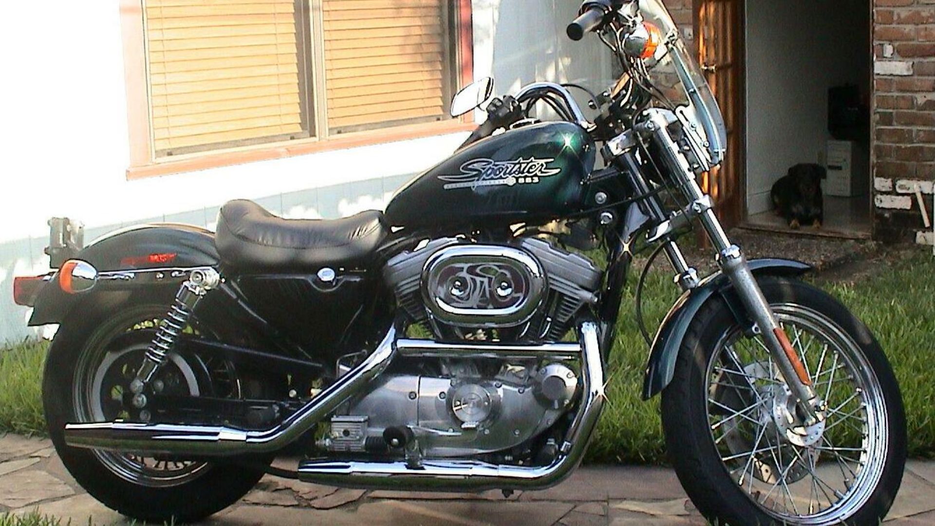 File:HD 883 Hugger.JPG