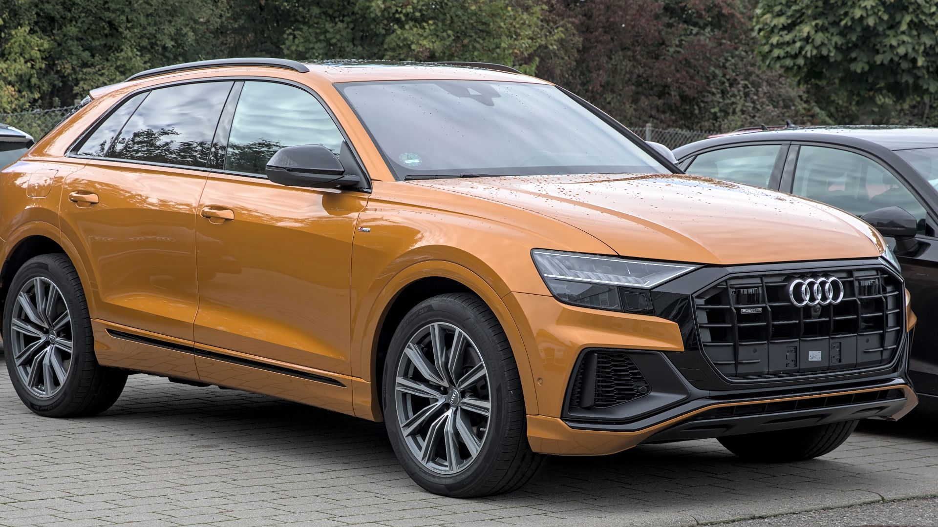 File:Audi Q8 1X7A6004.jpg