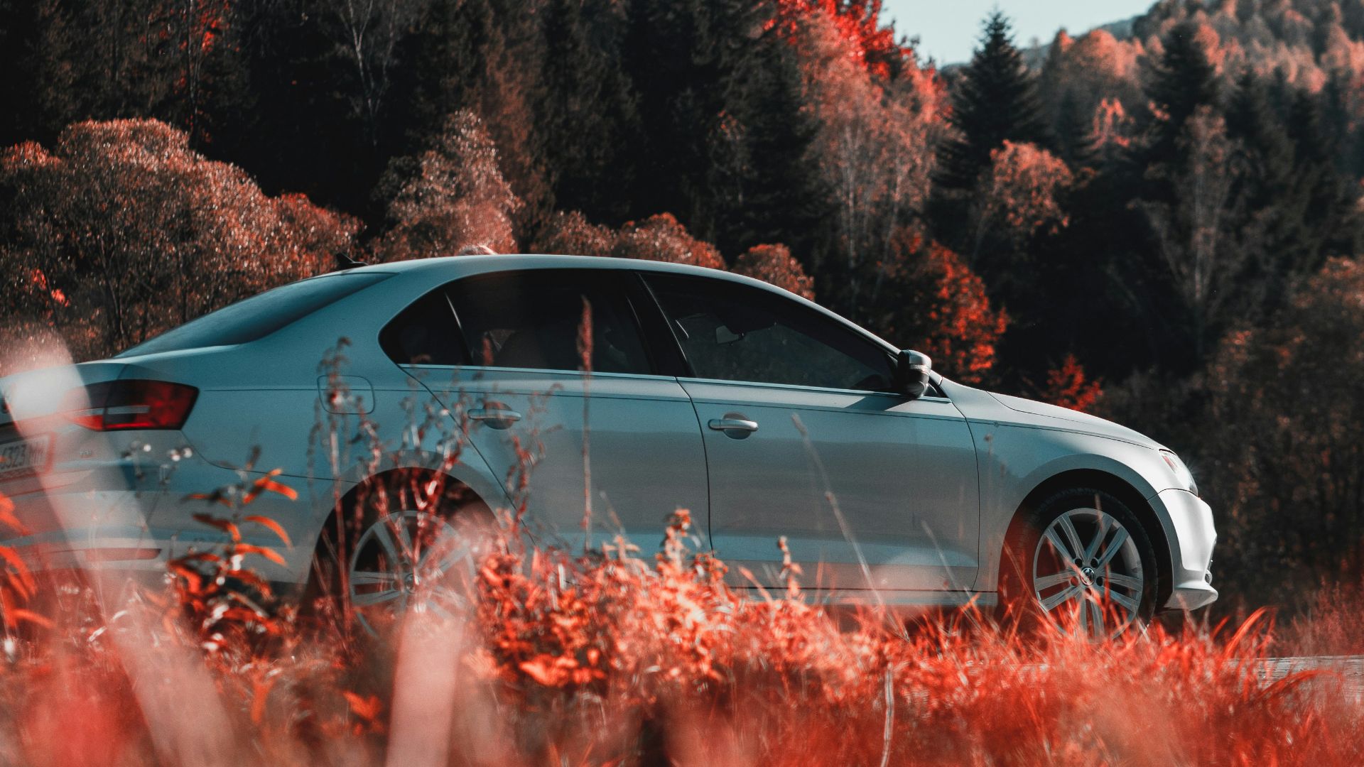 a white car parked in a field of tall grass