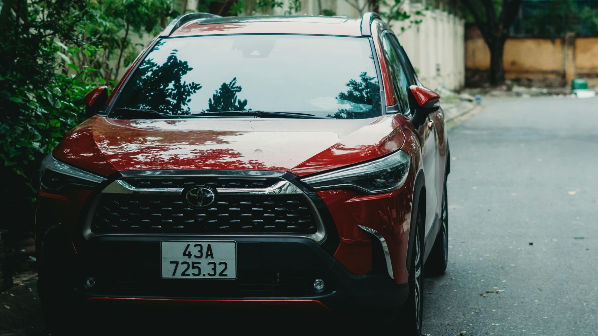 Xuân Thống Trần