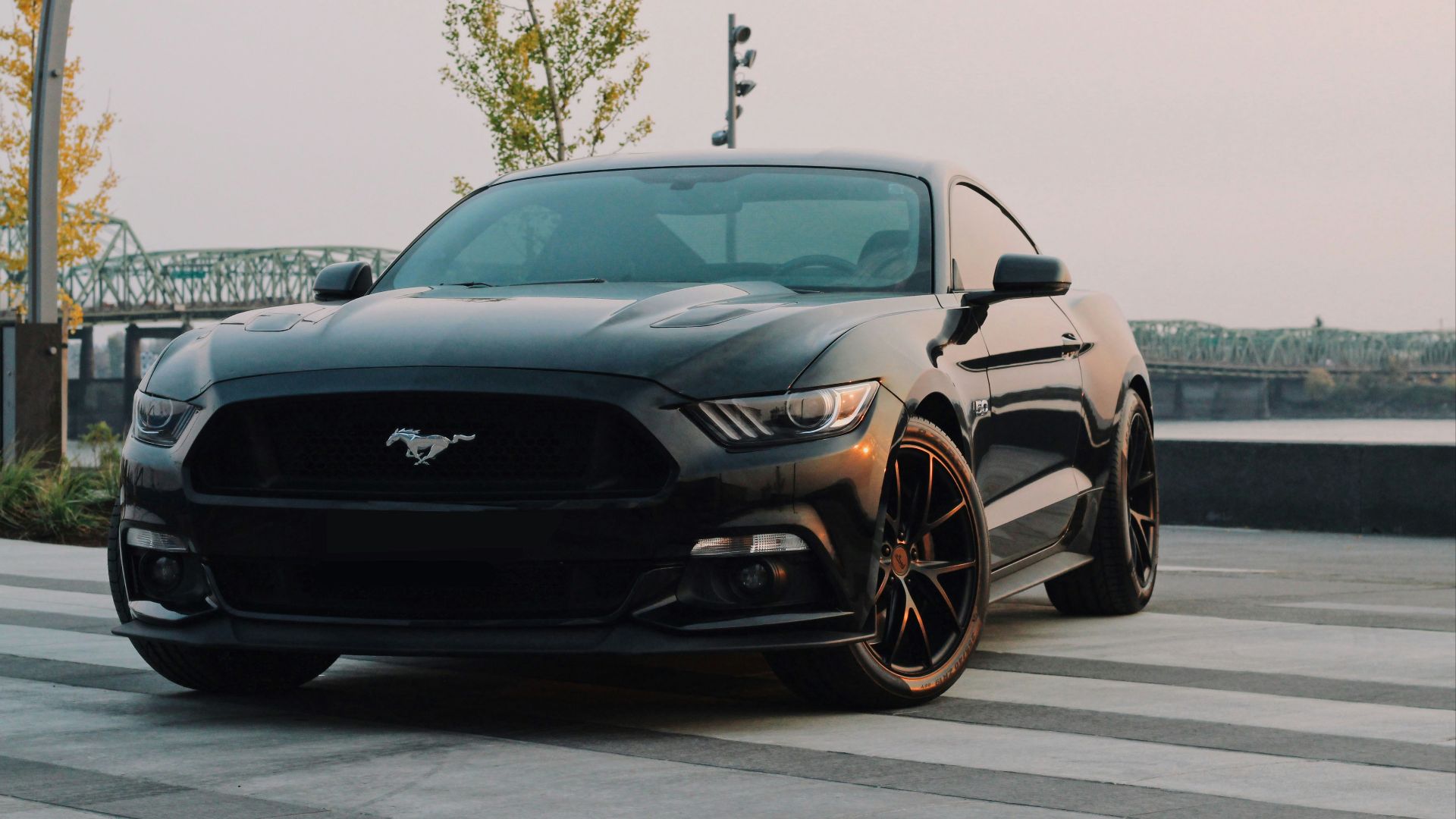 black Ford Mustang coupe parked near green tree