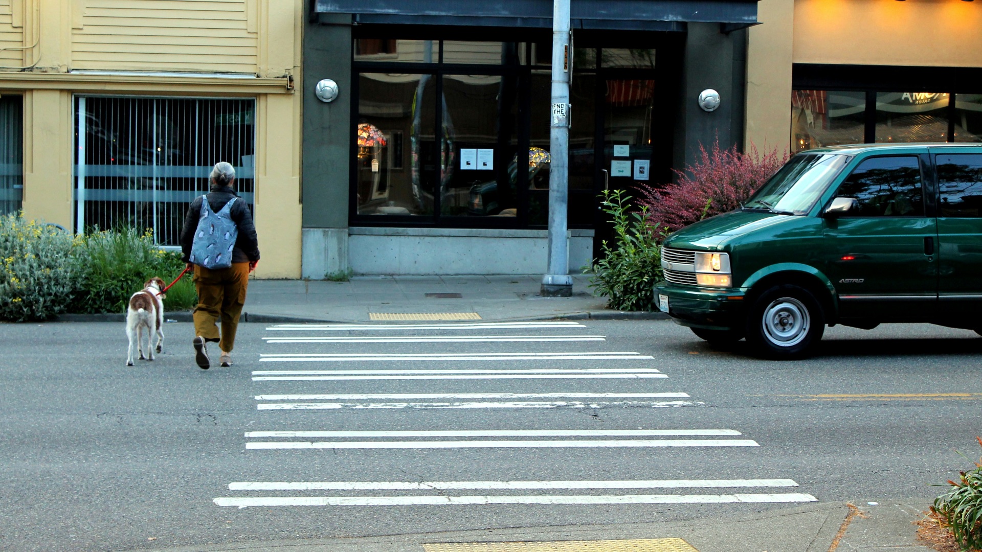 a person walking a dog across a crosswalk
