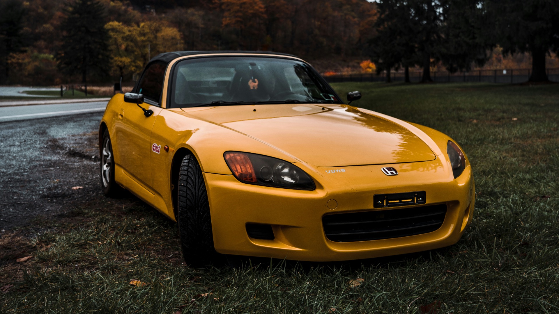 yellow porsche 911 on green grass field near mountain during daytime