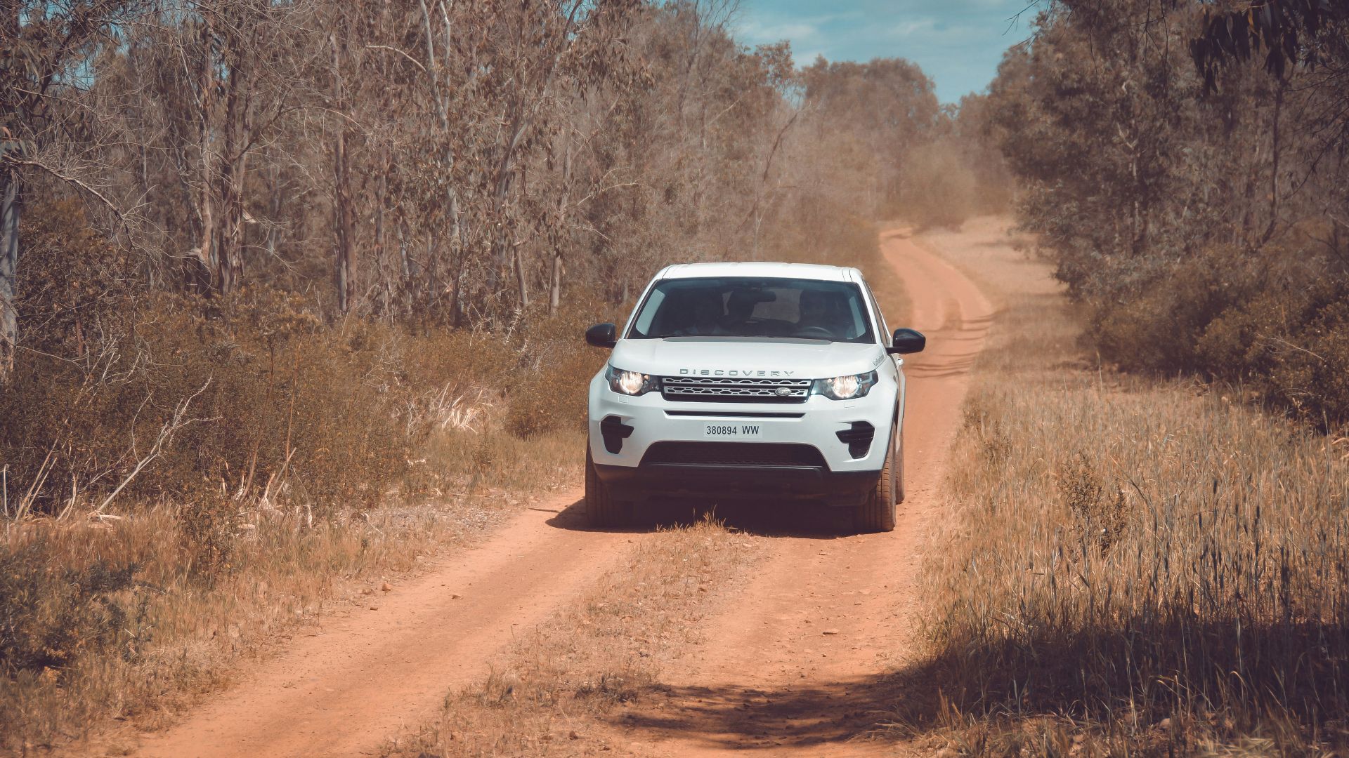 white Land Rover Ranger Rover on road near trees