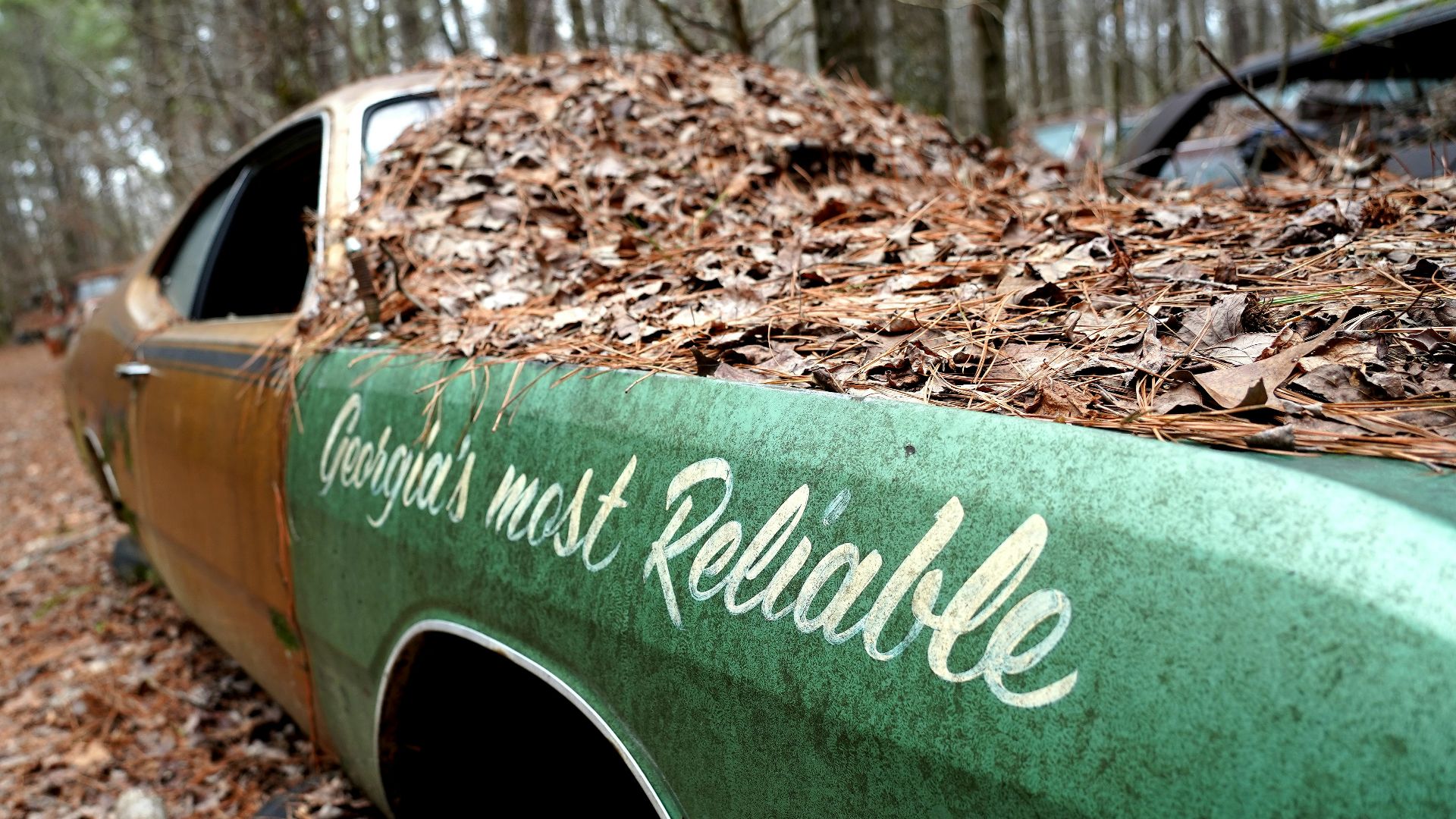a green truck parked on top of a pile of leaves