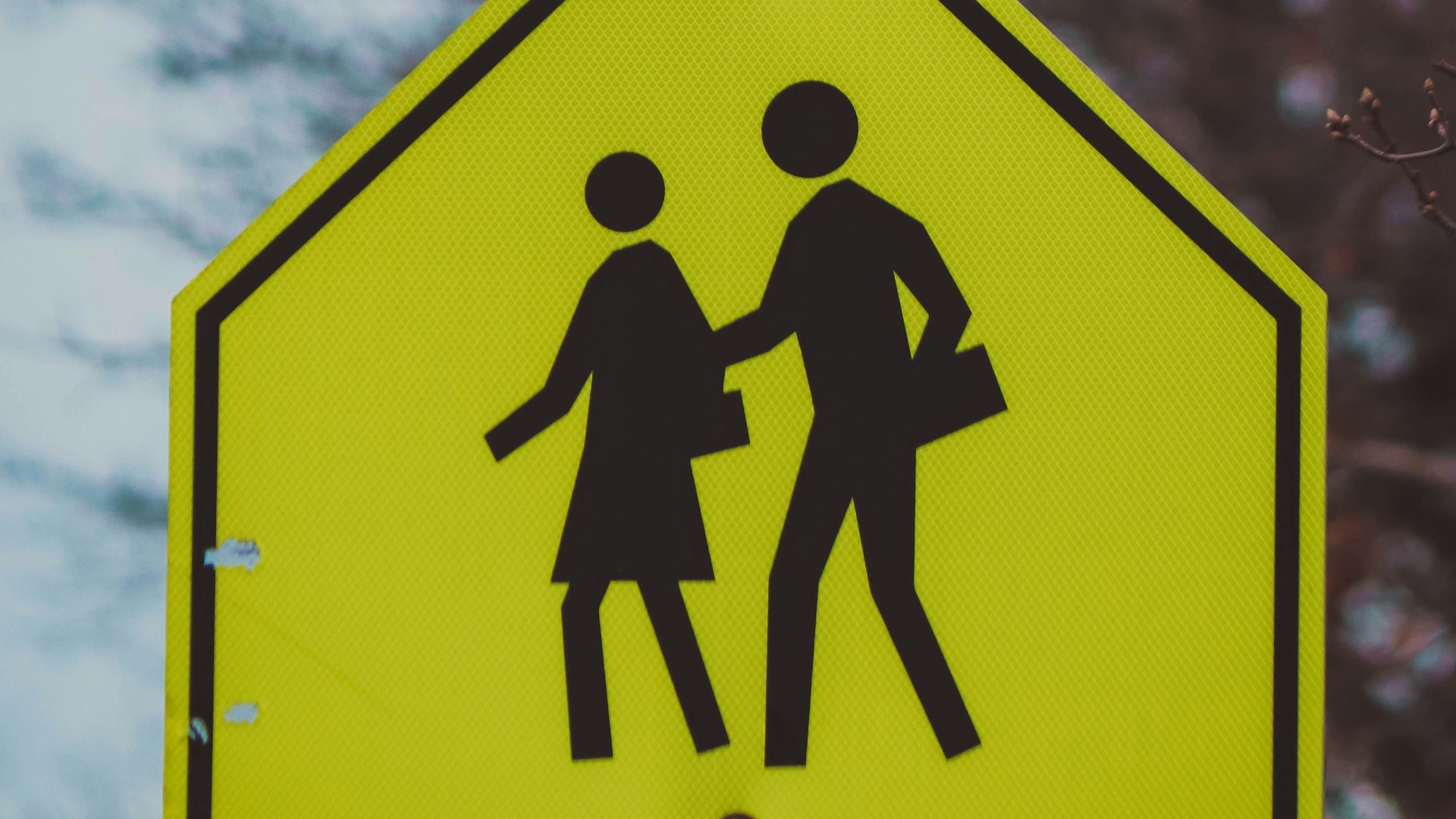 a yellow pedestrian crossing sign with a tree in the background