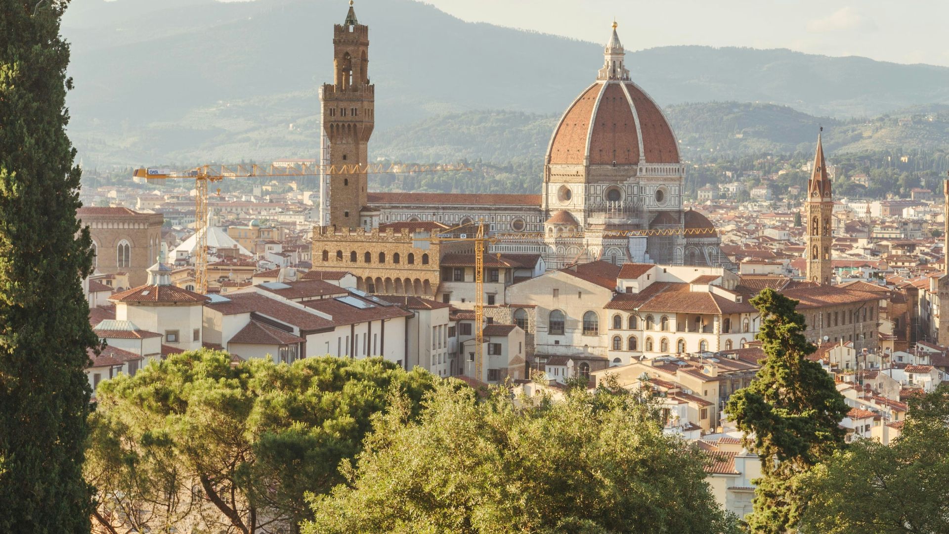 aerial photo of green leafed trees and white ruins