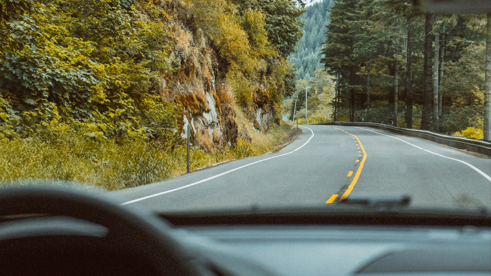 no vehicles at the road during daytime