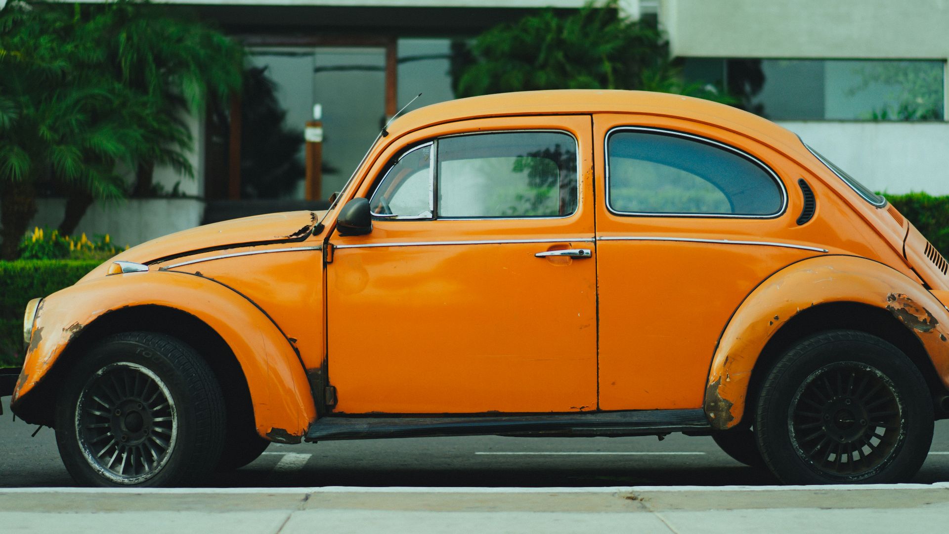 shallow focus photography of orange Volkswagen Beetle