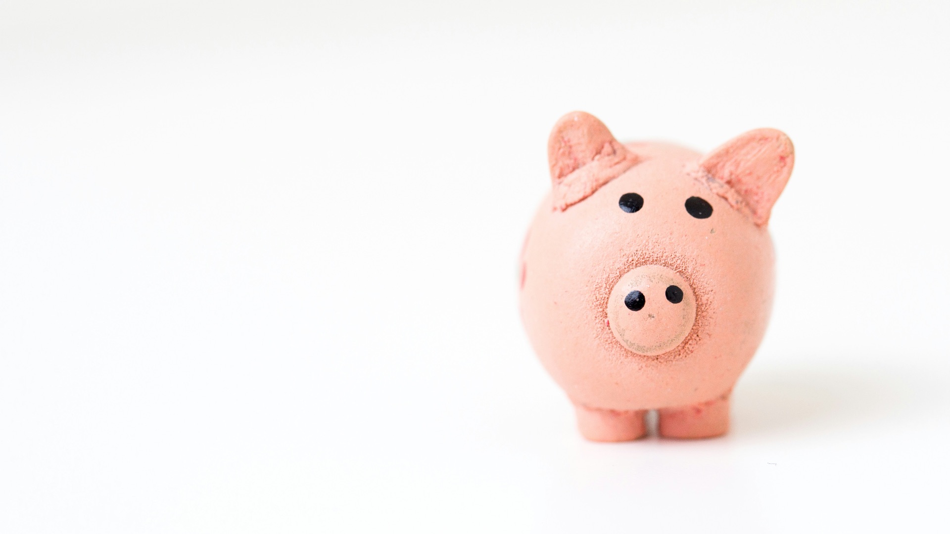 pink pig figurine on white surface