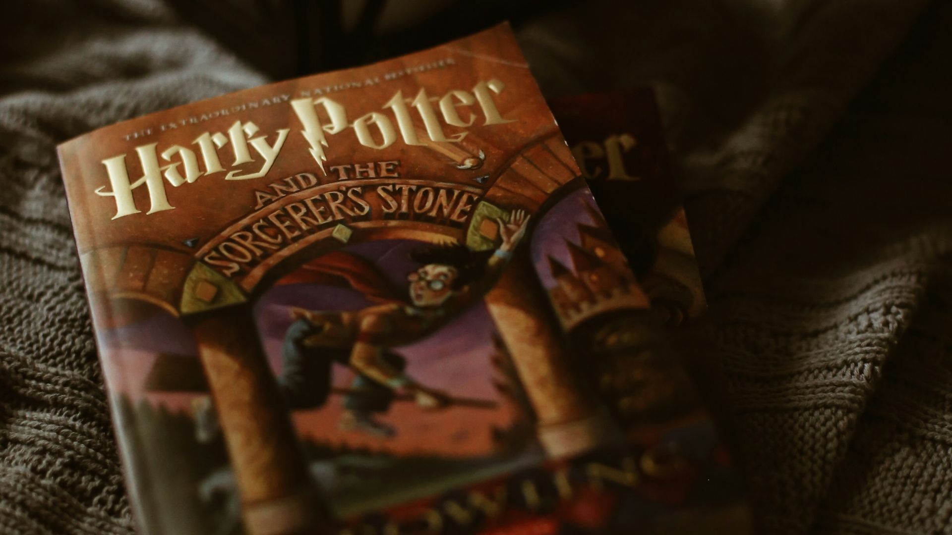 the lion king book on black textile