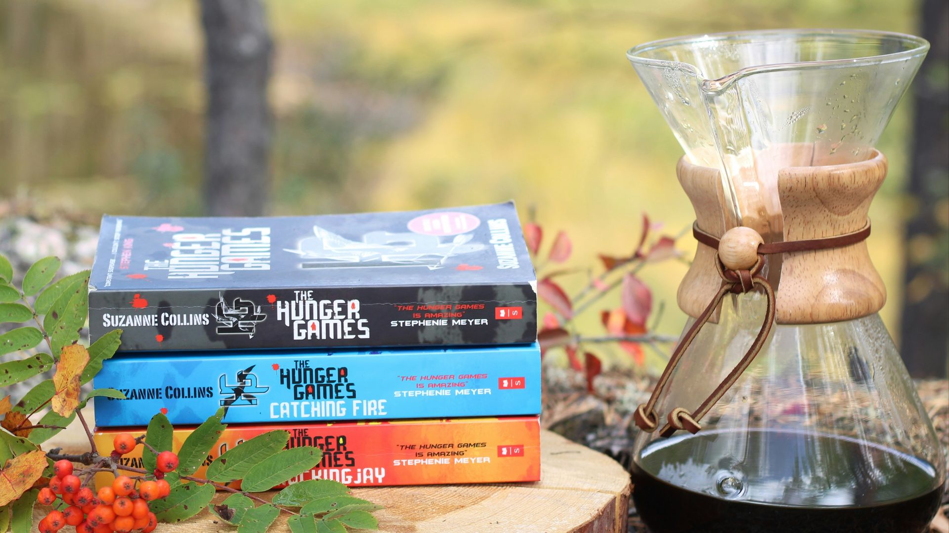 a stack of books sitting on top of a tree stump