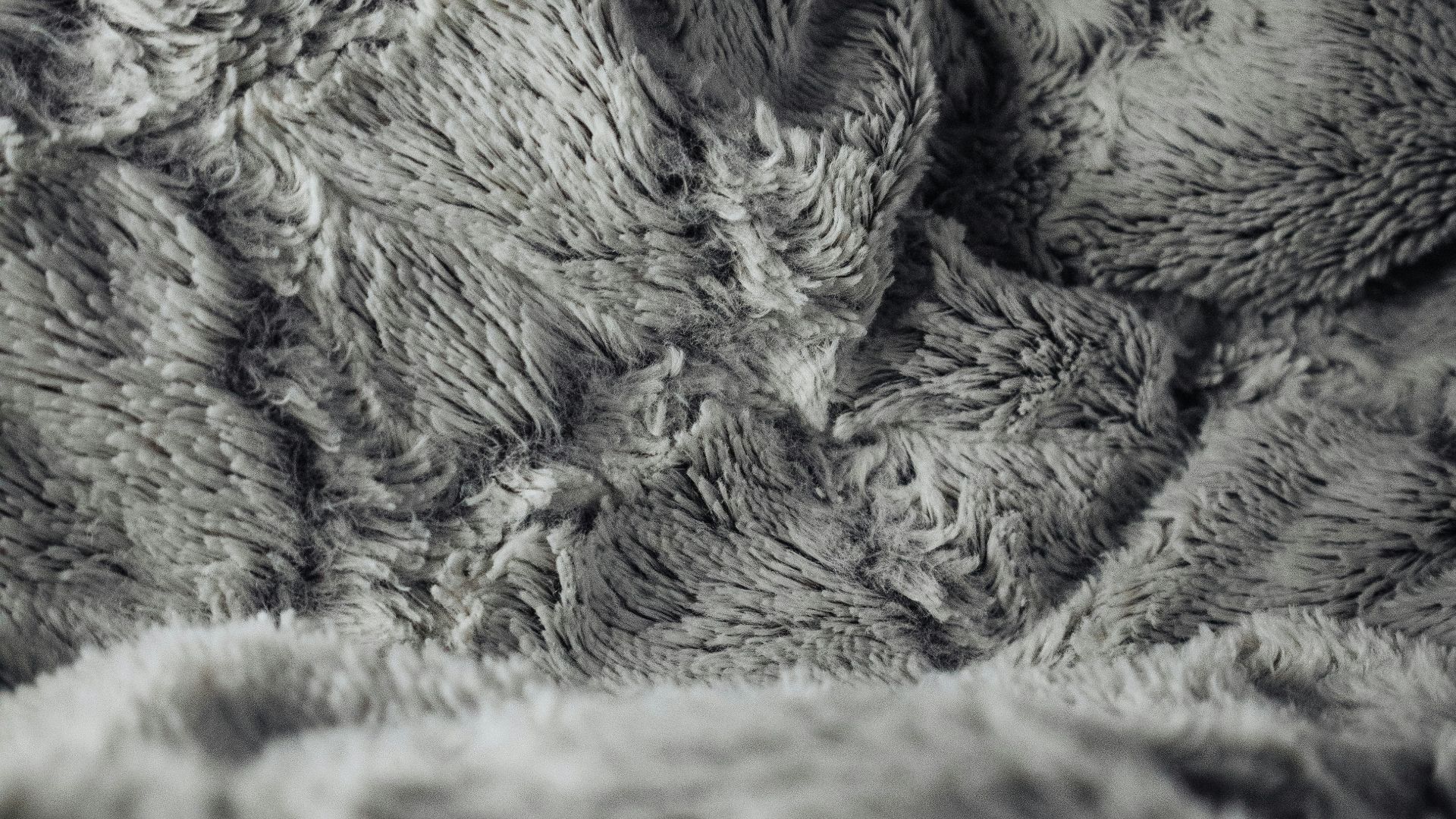 a black and white photo of a blanket