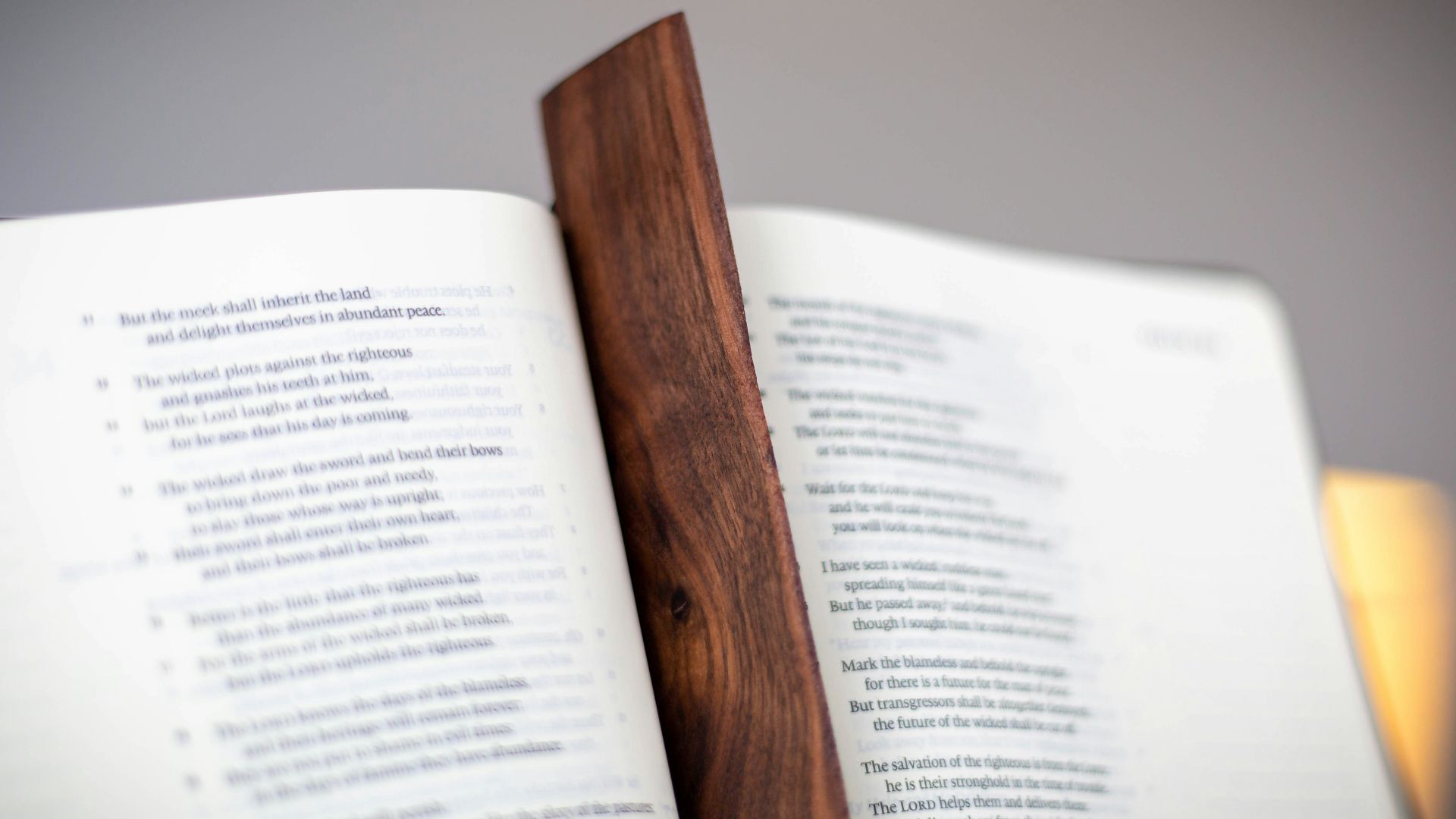 an open book with a wooden bookmark sticking out of it
