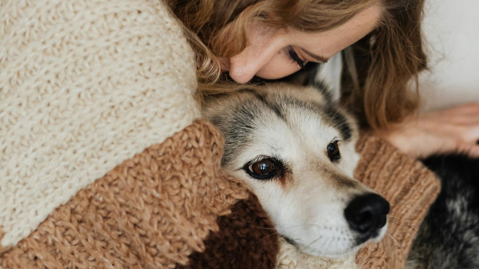 Photo By: Kaboompics.com