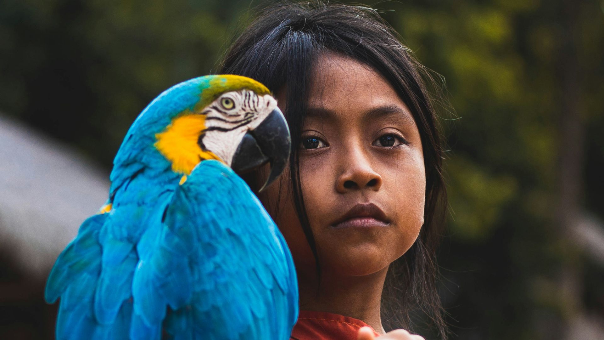 shallow focus photography of parrot and girl