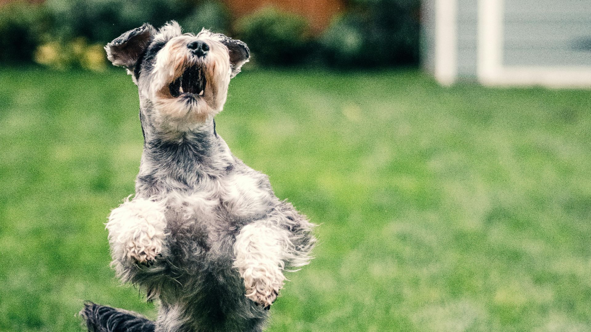 Sebastian Coman Travel