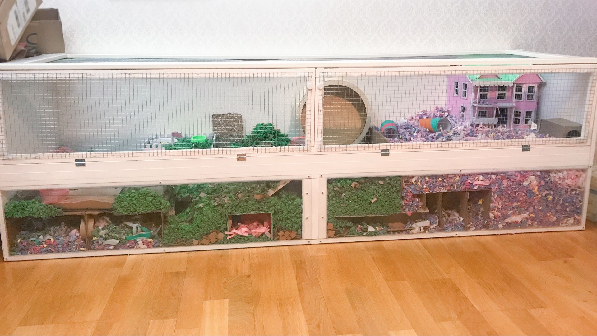 File:Home built enclosure for a Syrian Hamster.png