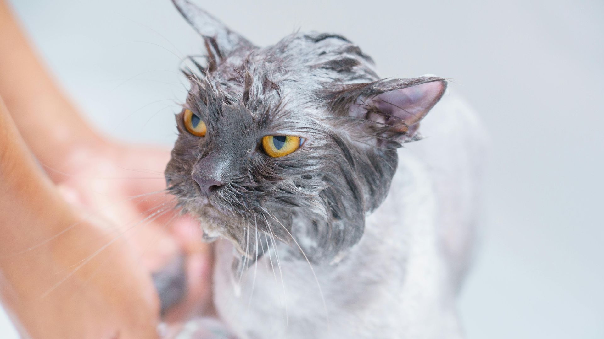 Karin Chantanaprayura