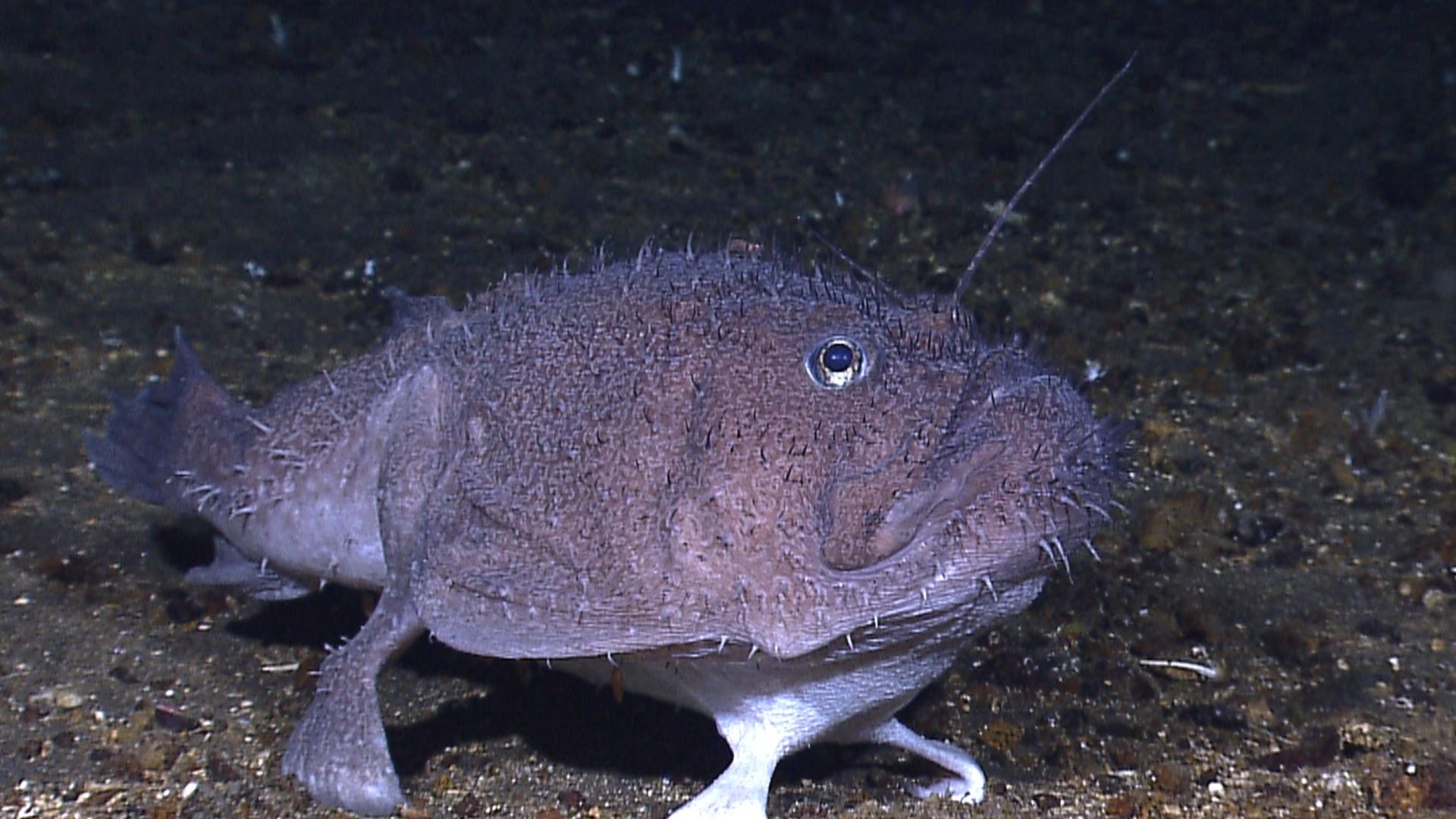 File:Expl2183 (9734084875).jpg