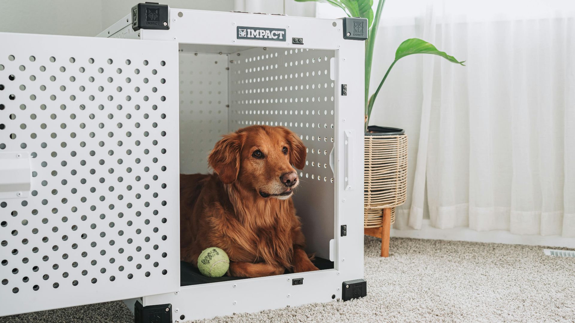 Impact Dog Crates