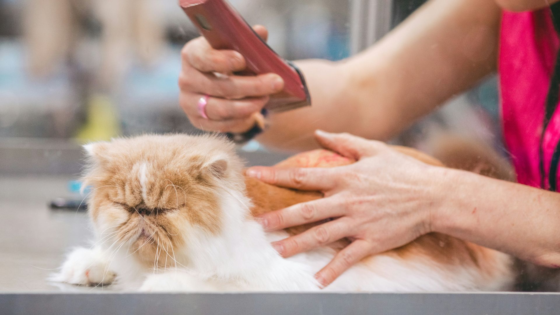 person holding pink iphone case