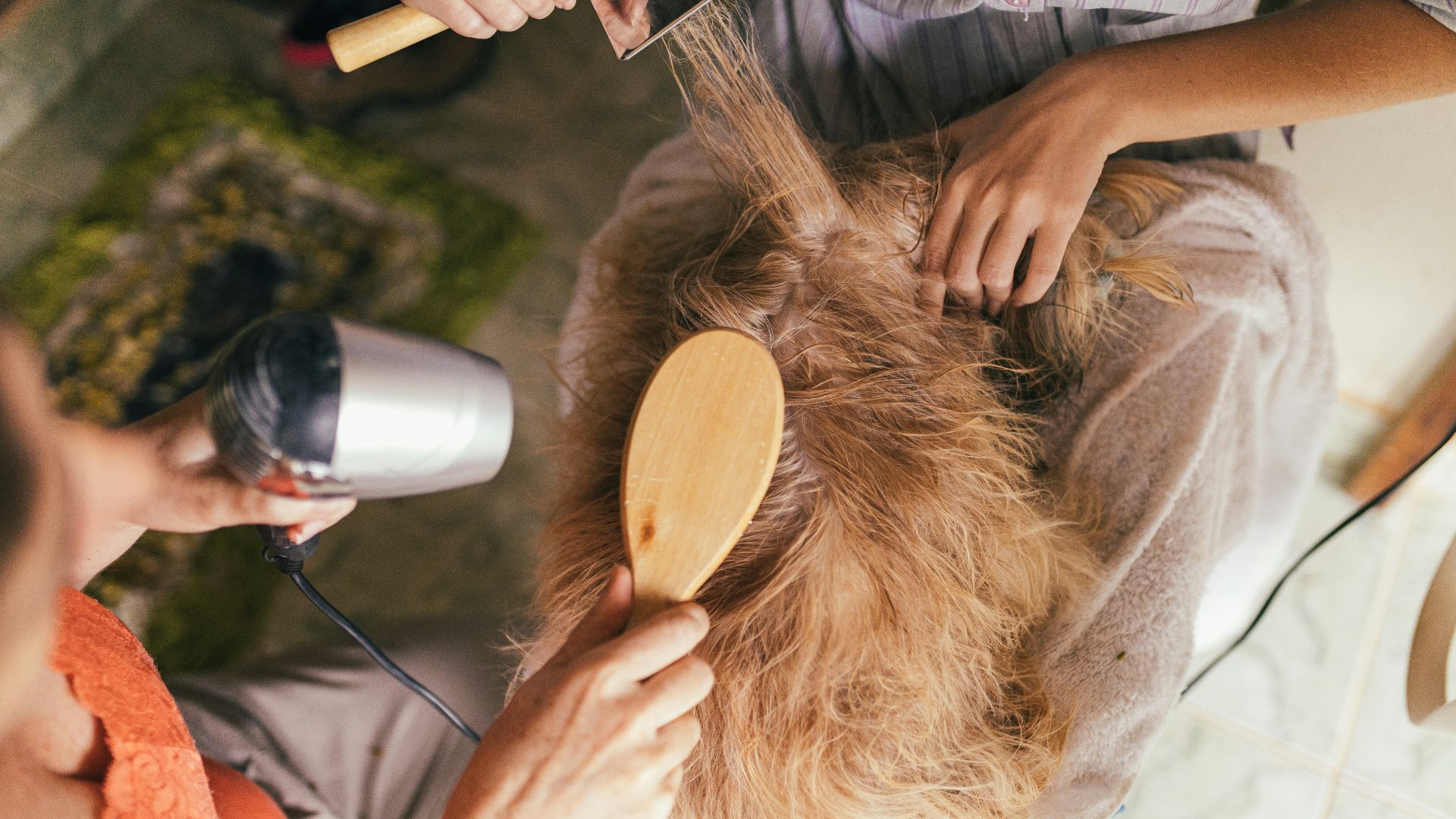 person pouring water on womans hair