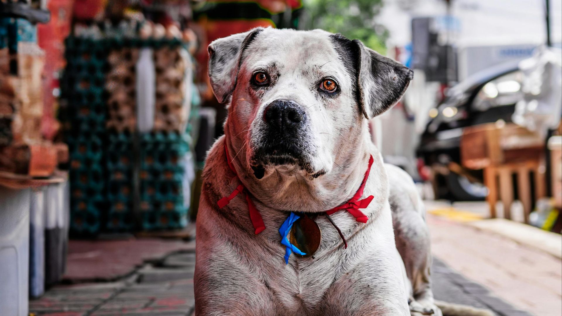 Christopher Welsch Leveroni