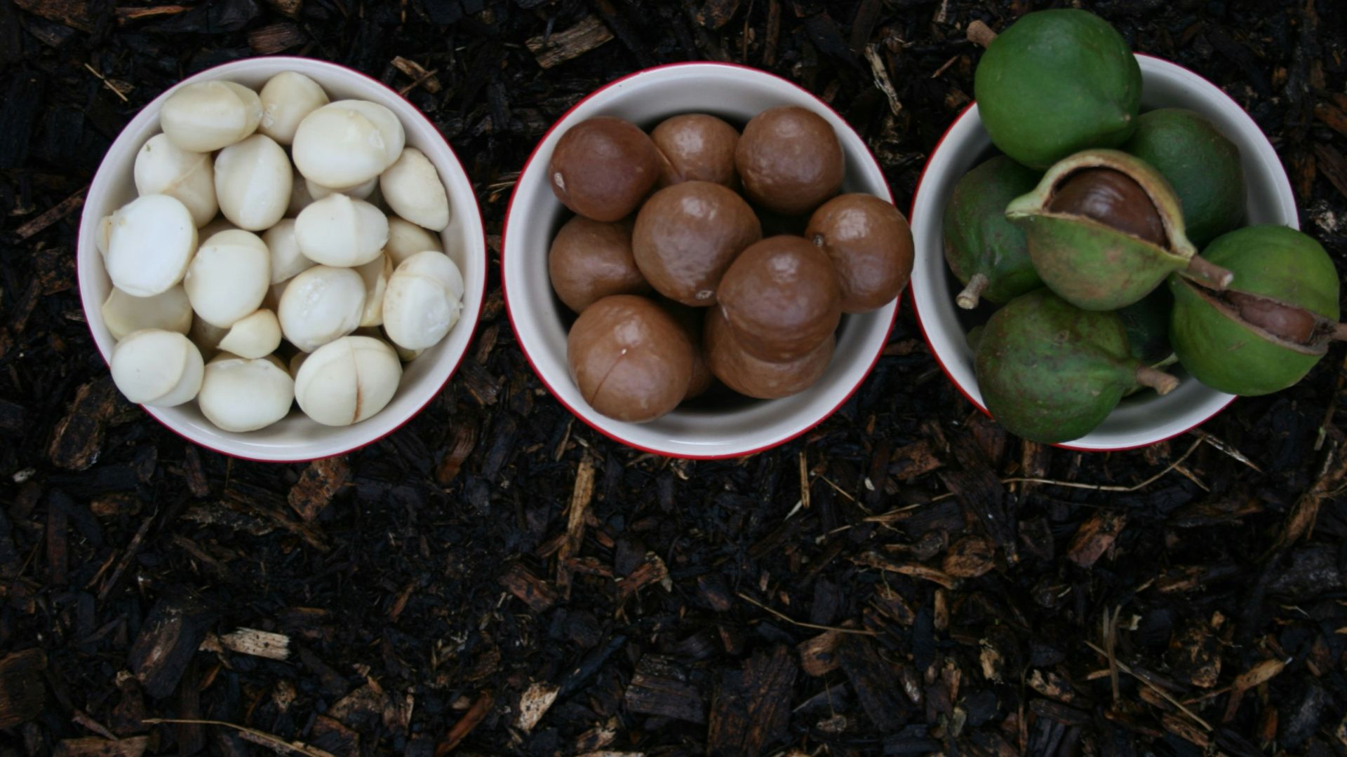 white round ceramic bowls with white round fruits
