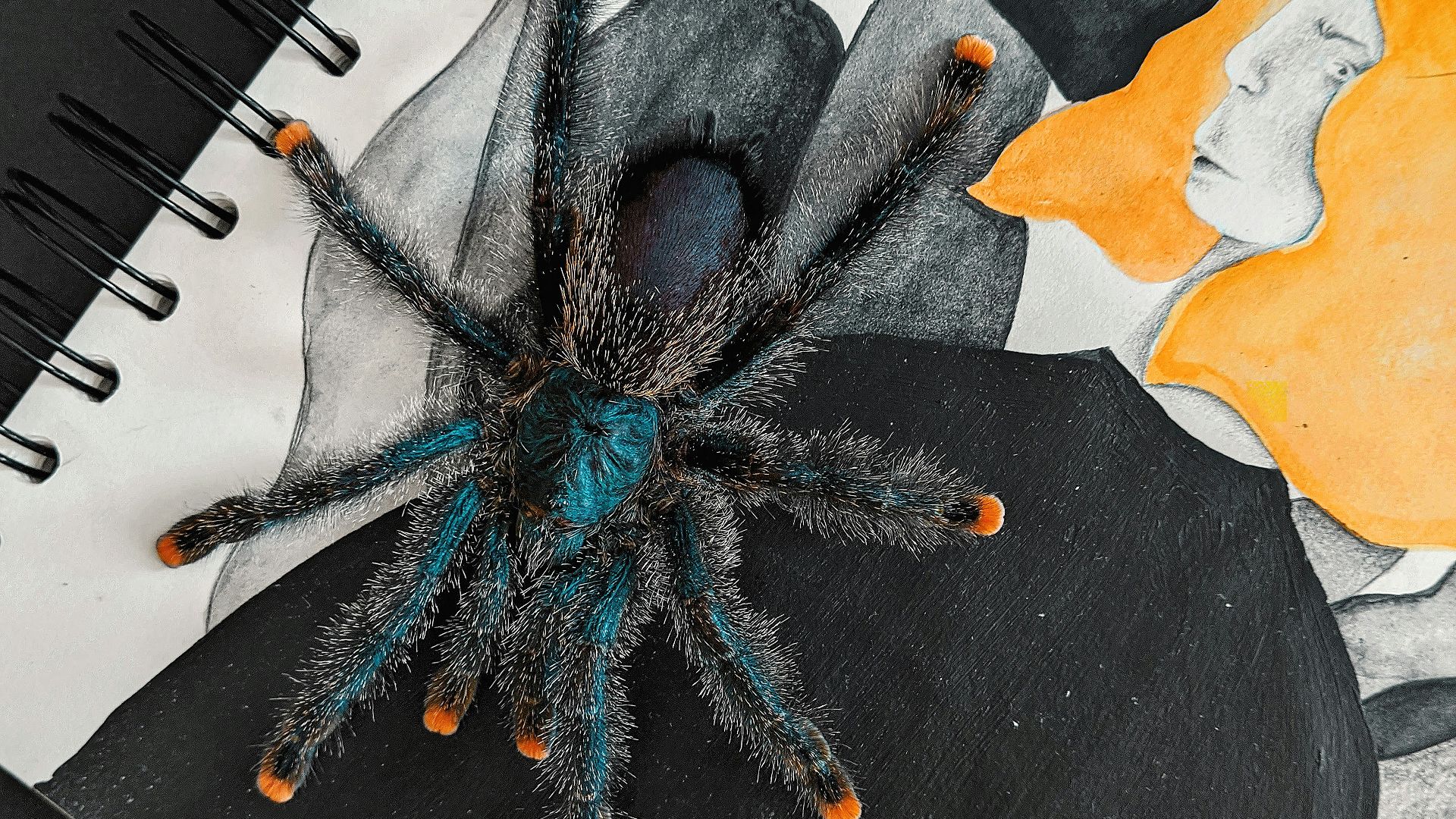 black and gray dragon wall decor