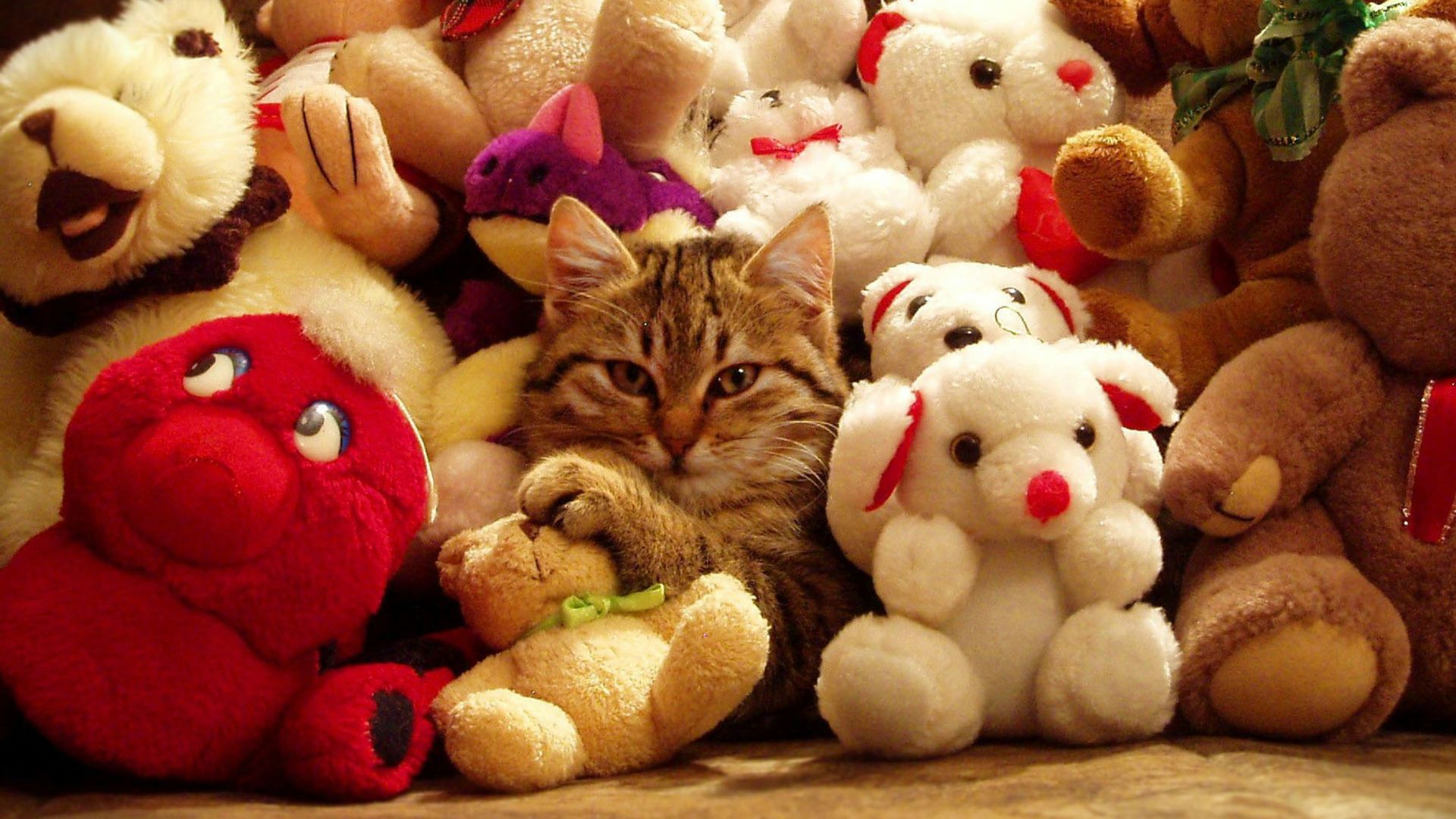 white bear plush toy beside brown tabby cat