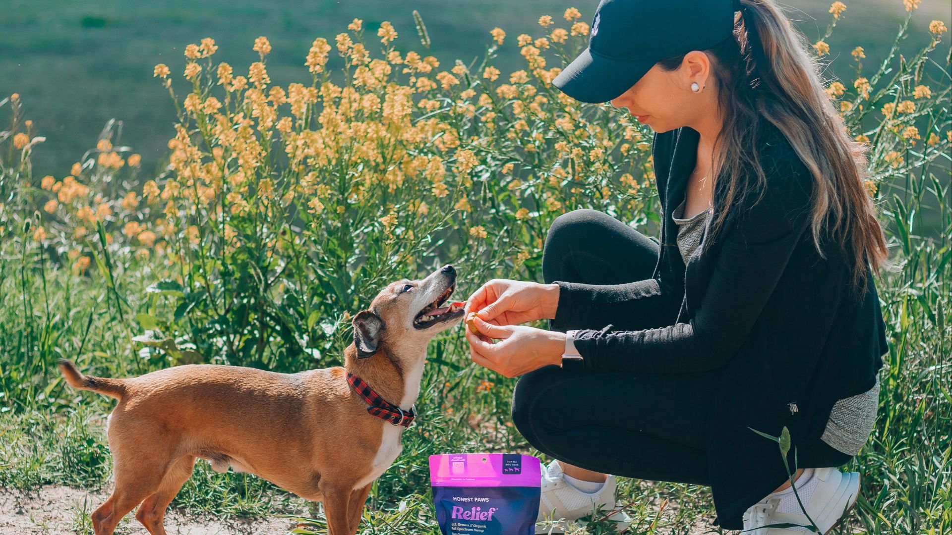 woman in black leather jacket holding purple can beside brown short coated dog