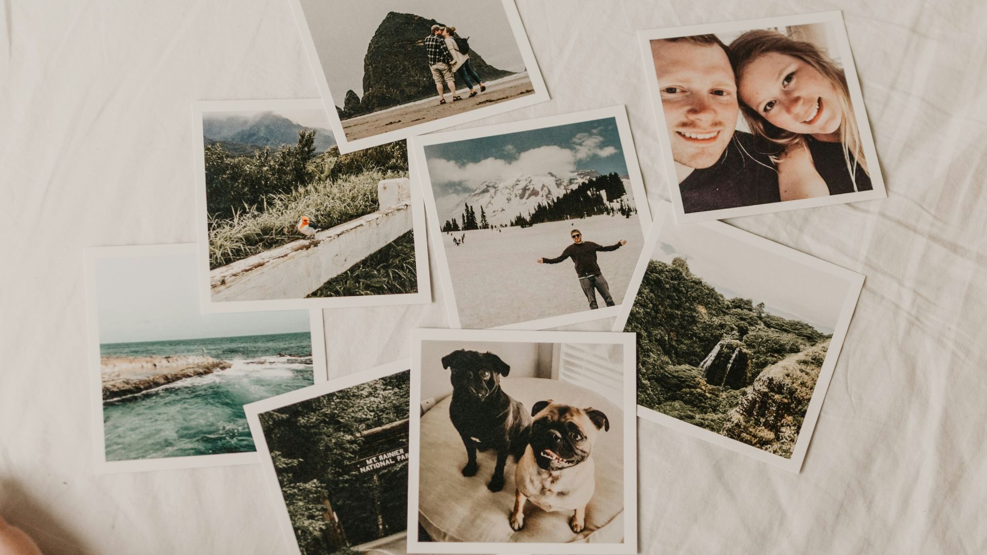 person taking photo of pictures