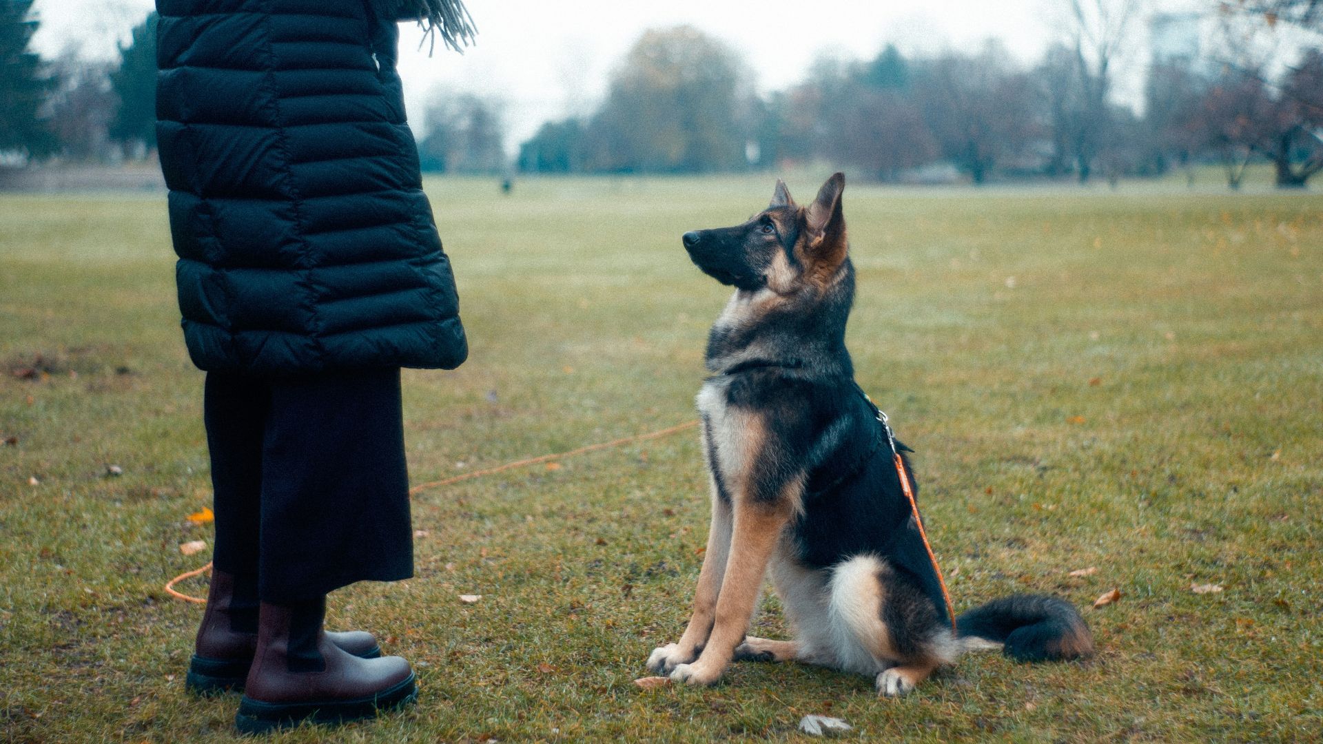 person in black jacket standing on green grass field during daytime