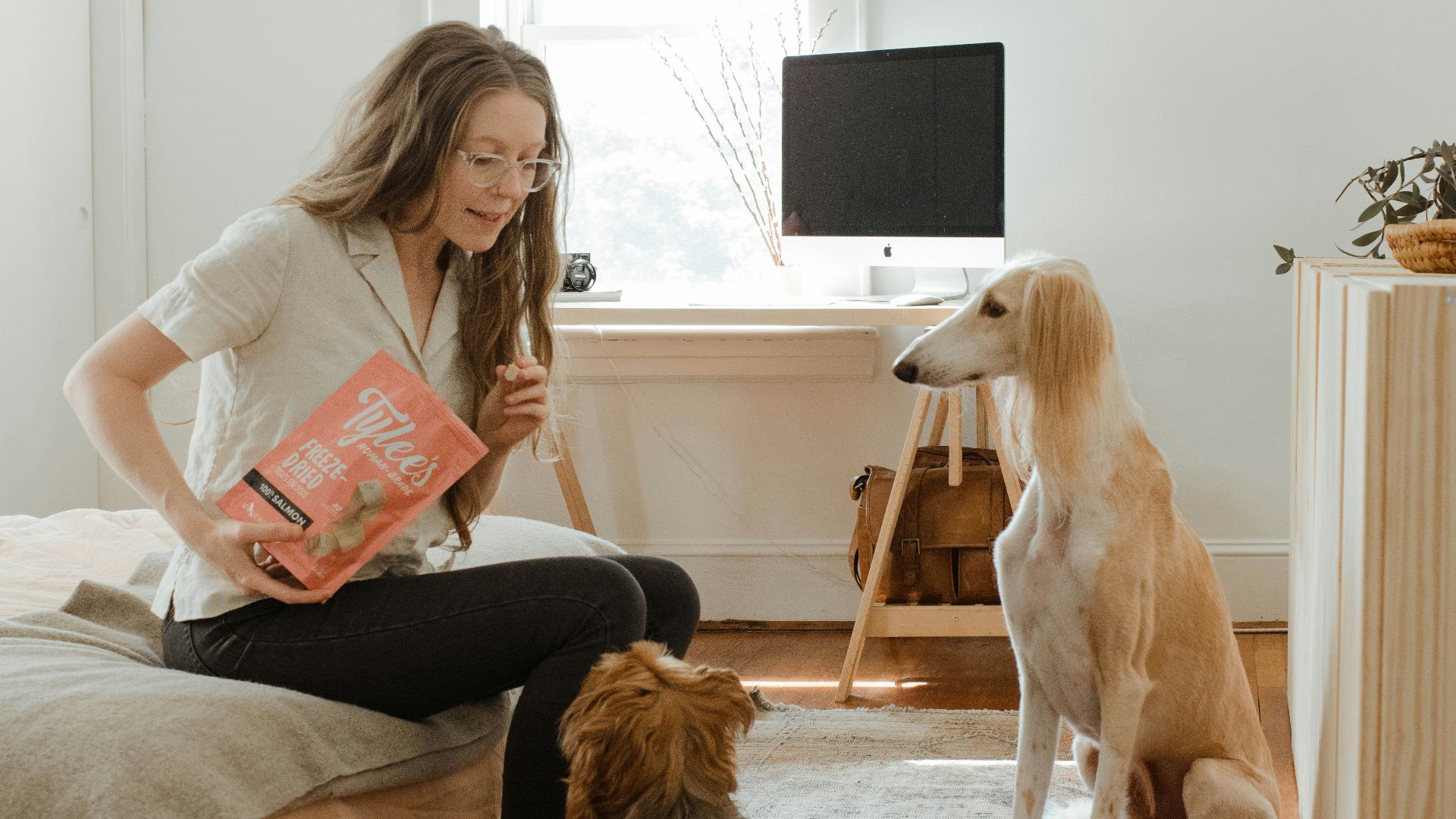 woman in gray shirt sitting on brown couch beside brown long coated dog