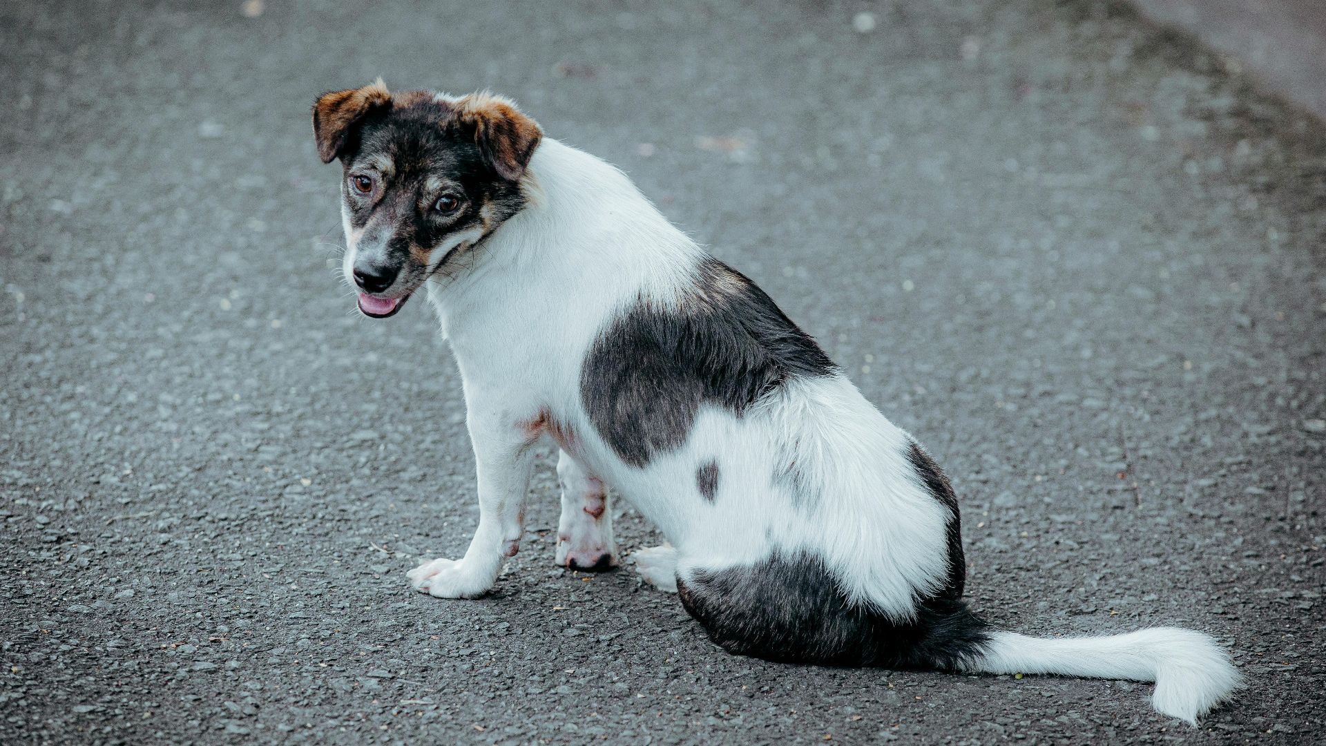 🇻🇳🇻🇳Nguyễn Tiến Thịnh 🇻🇳🇻🇳