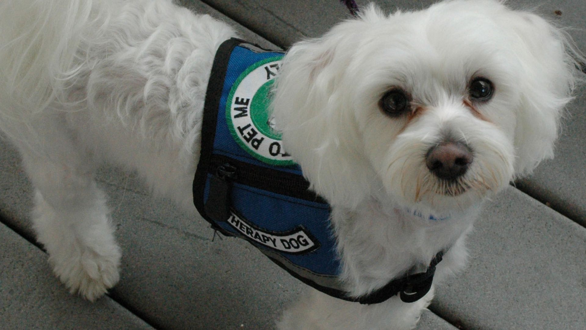 File:FEMA - 10669 - Photograph by Jocelyn Augustino taken on 09-11-2004 in Florida.jpg