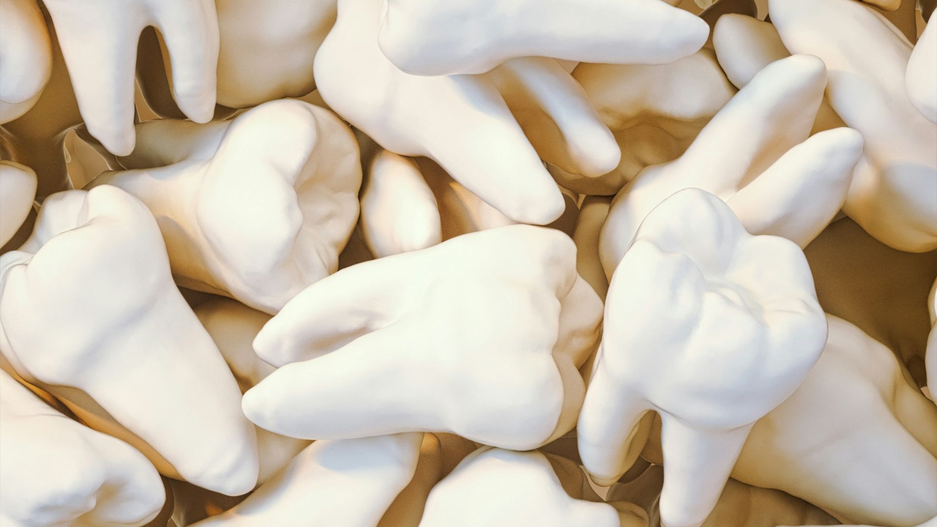 white flower petals on white textile