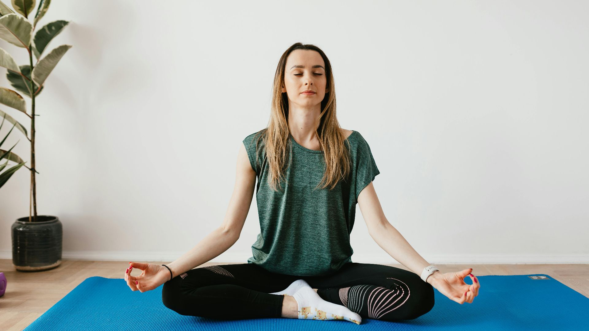 Photo By: Kaboompics.com