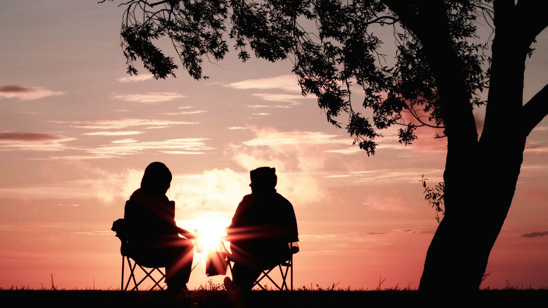 silhouette of two person sitting on chair near tree