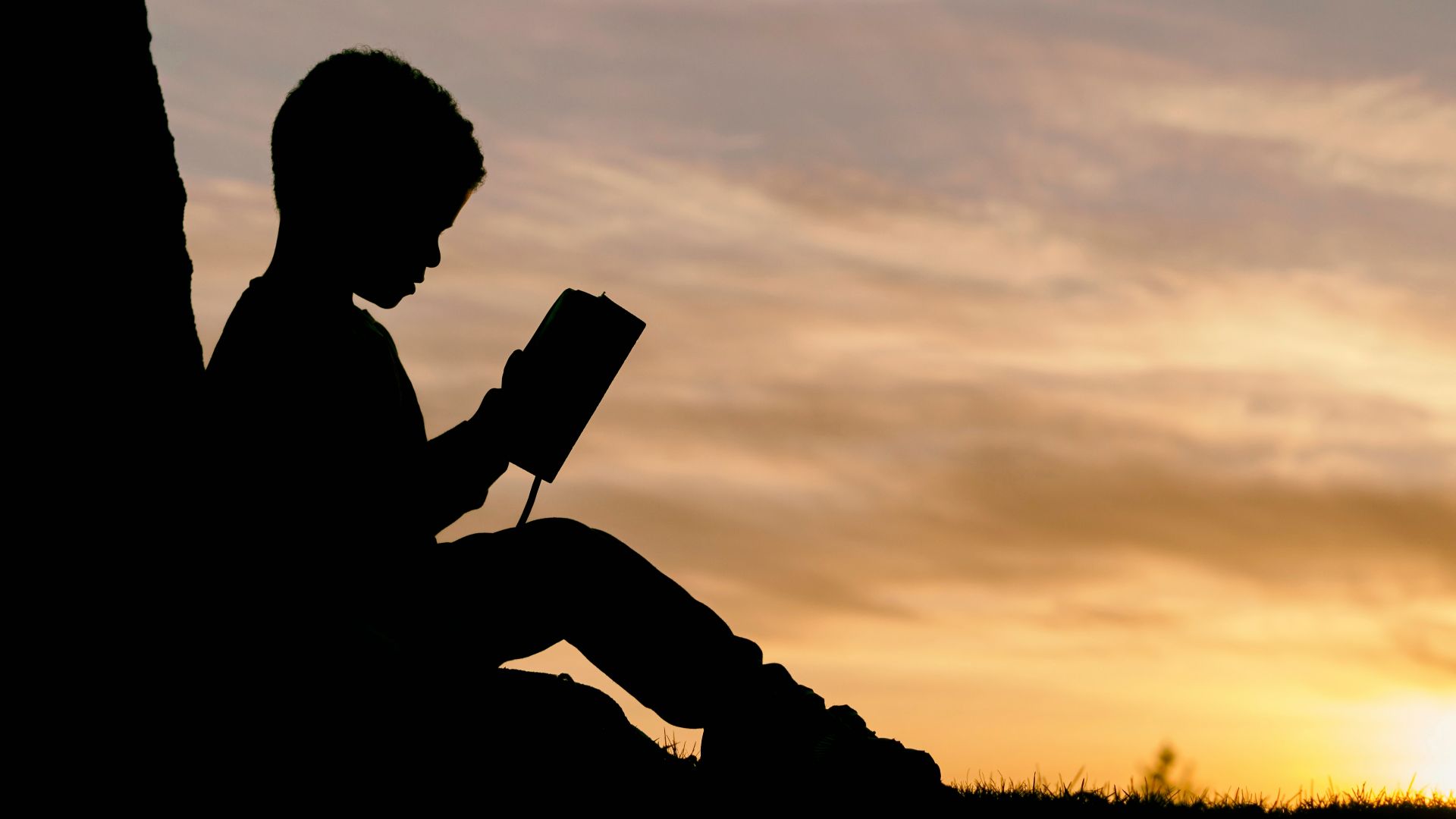 silhouette of child sitting behind tree during sunset