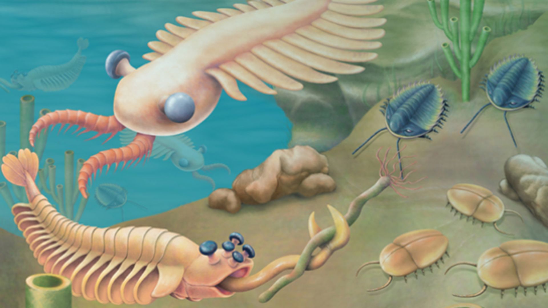 File:Figure 27 04 03.jpg