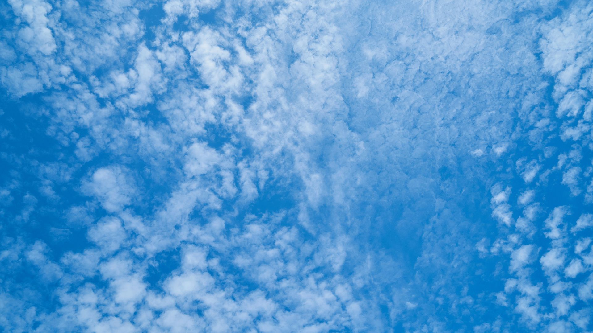 white clouds and blue sky