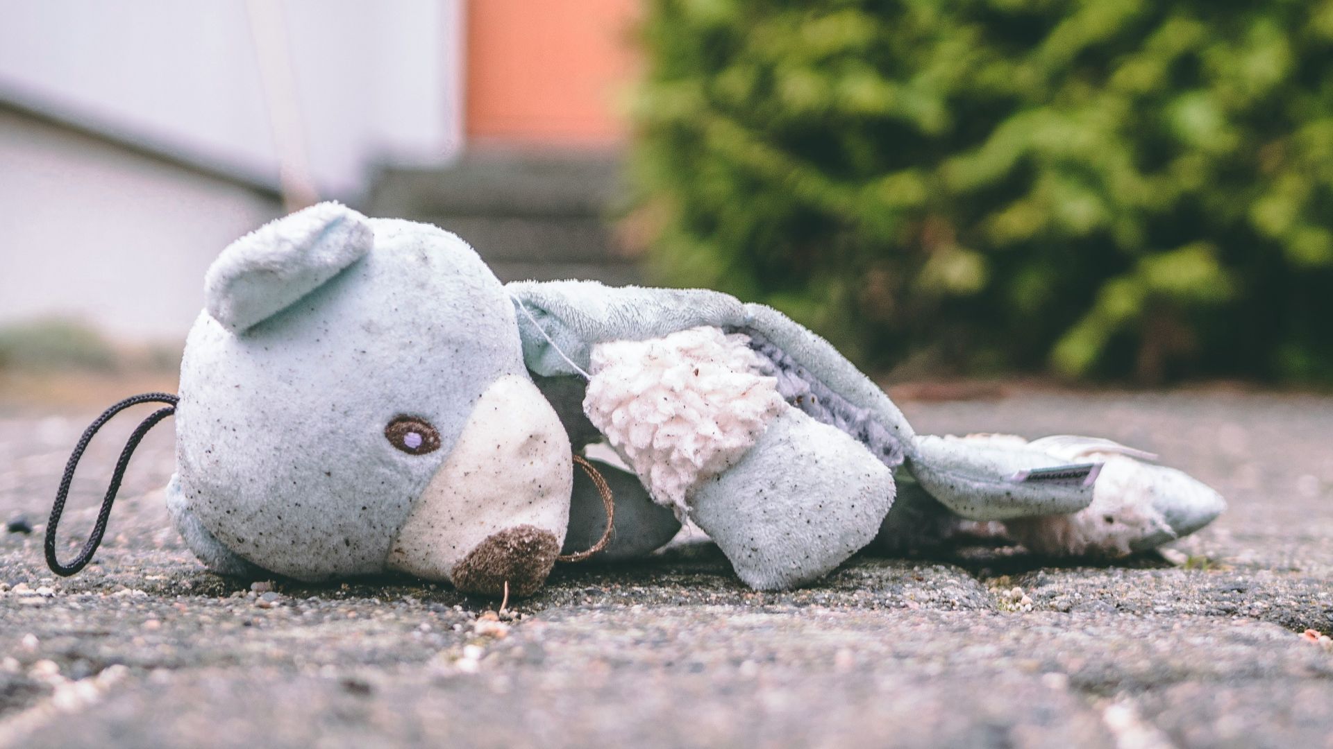 photo of bear plush toy on pavement