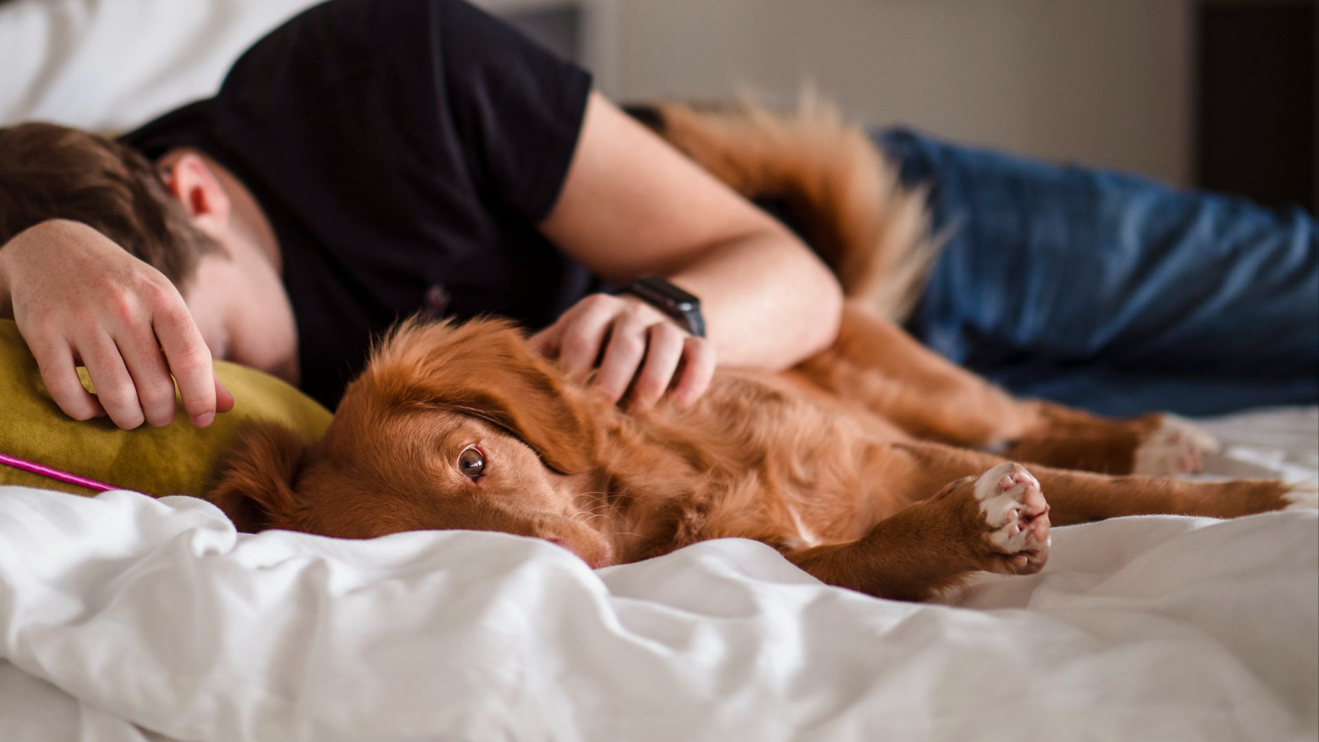 person in black shirt lying on bed