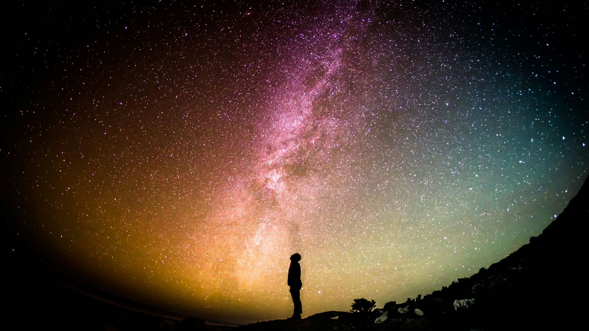 silhouette photography of person