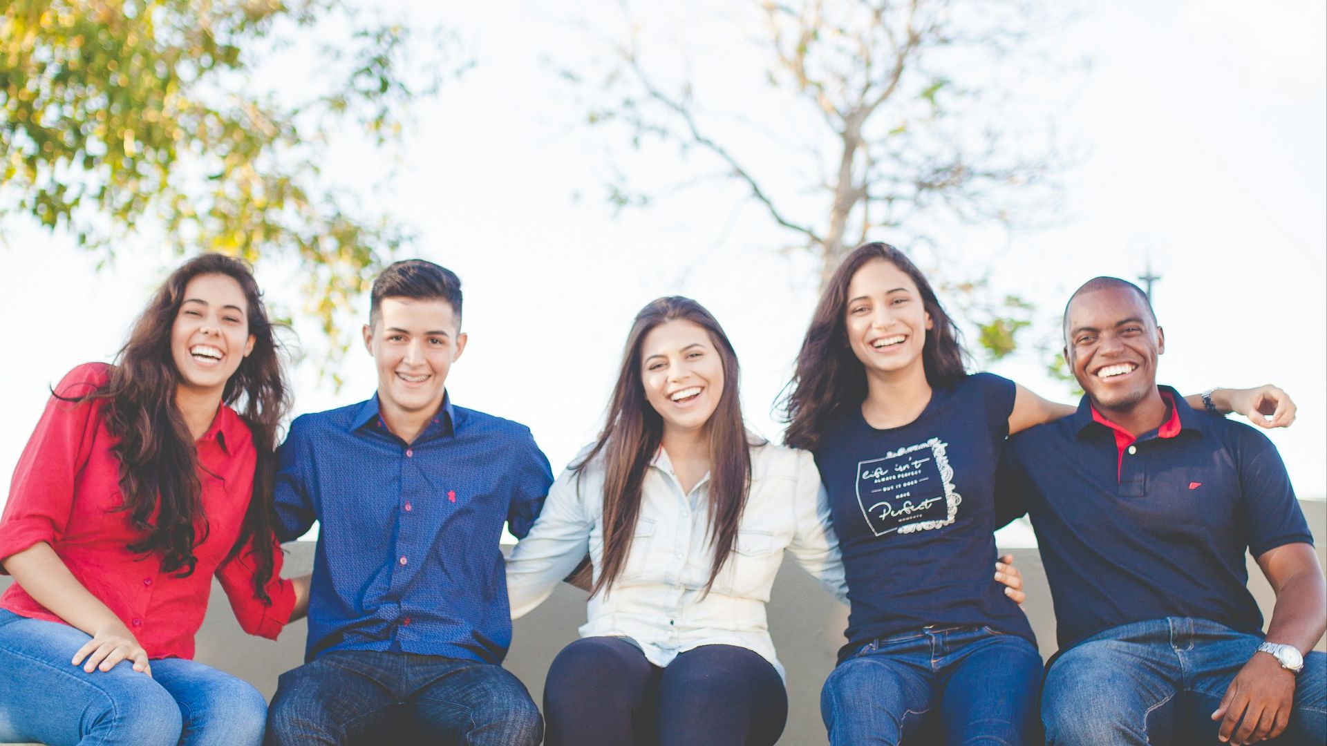 group of people sitting on bench near trees duting daytime