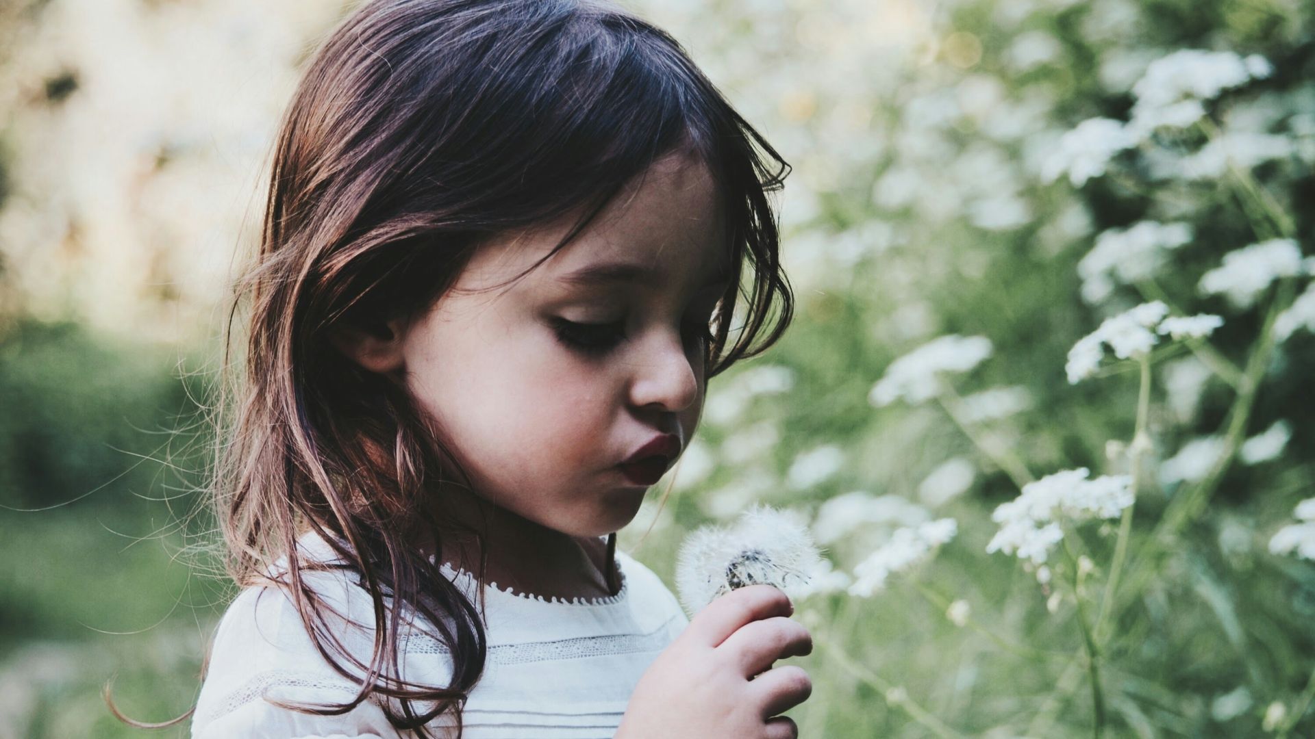 girl holding white flower during daytime